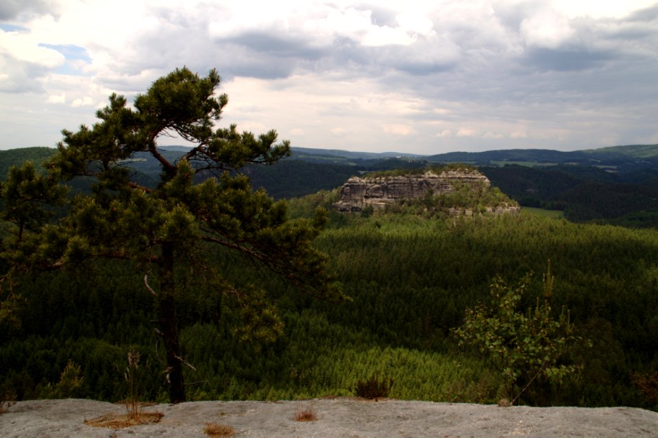 Winterstein 2012-05-27-7325