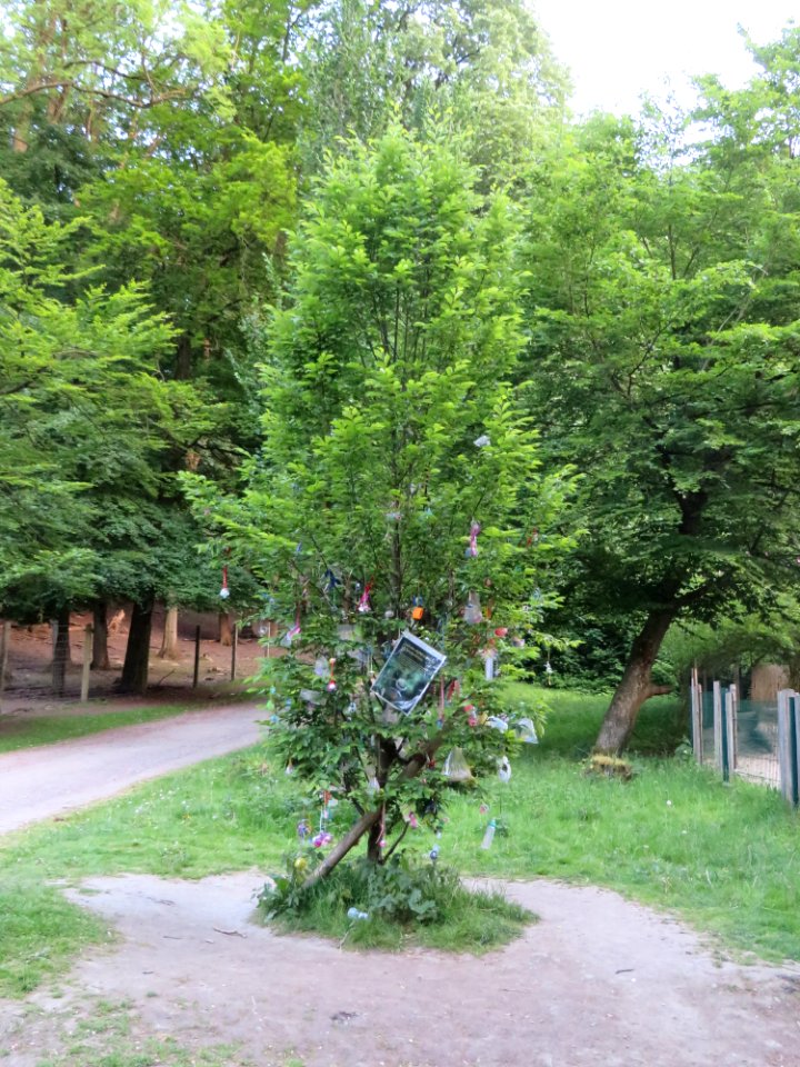Witten Schnullerbaum