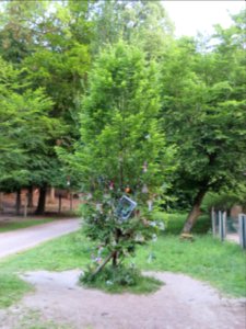 Witten Schnullerbaum