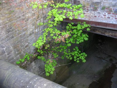 Witten Muehlengraben
