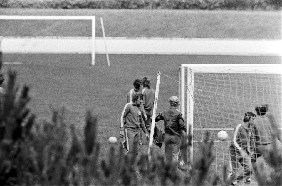 WK 74, Nederlands elftal in Hiltrup training op grote afstand, Bestanddeelnr 927-2996