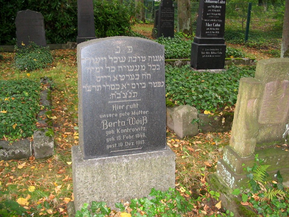 Witten juedischer Friedhof Ledderken 6