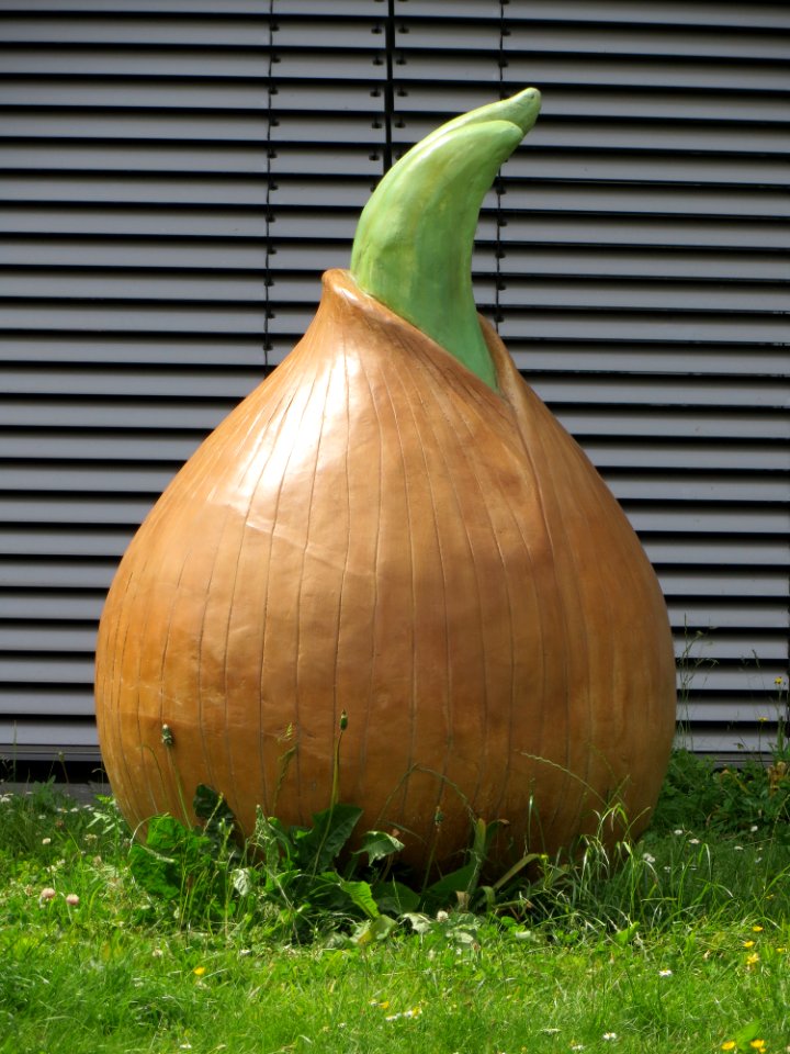 Witten Skulptur Zwiebel