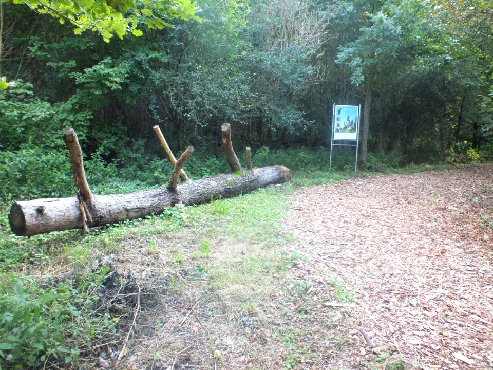 Wzwz dachau schinderkreppe b