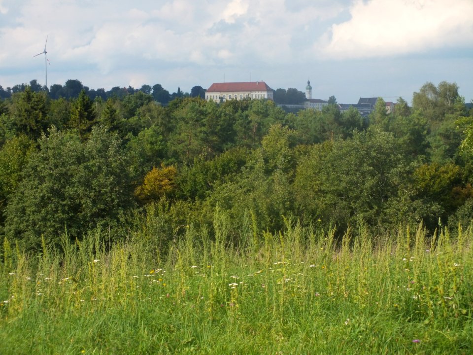Wzwz dachau schinderkreppe e