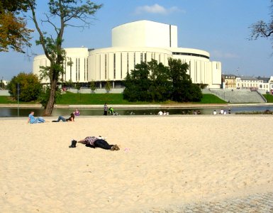 Wyspa Młyńska 2010 plaża bis