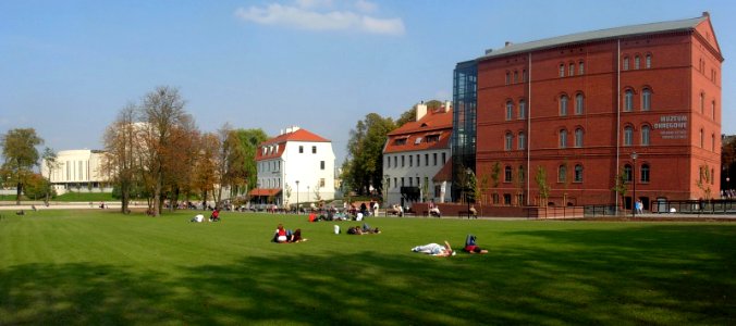 Wyspa Młyńska łąka panorama a