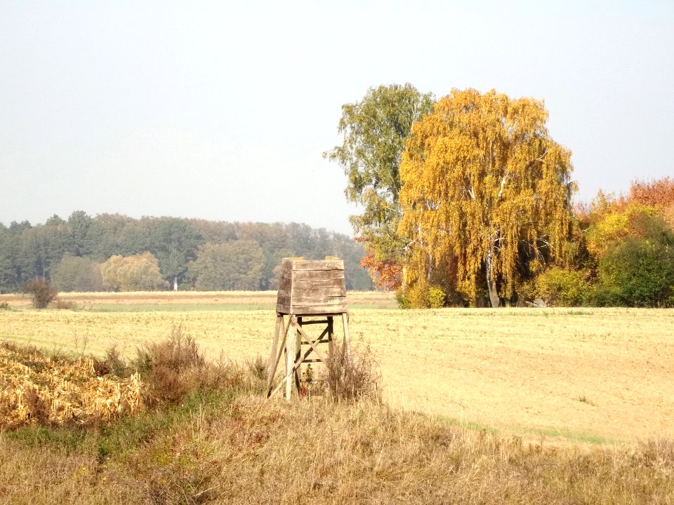 Wysoczyzna Osielska 10-18 7