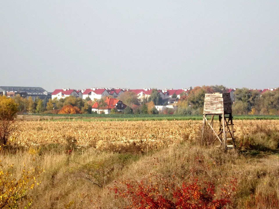 Wysoczyzna Osielska 10-18 10