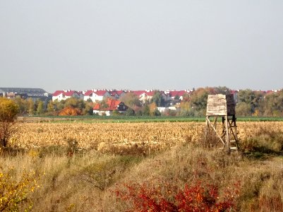 Wysoczyzna Osielska 10-18 10