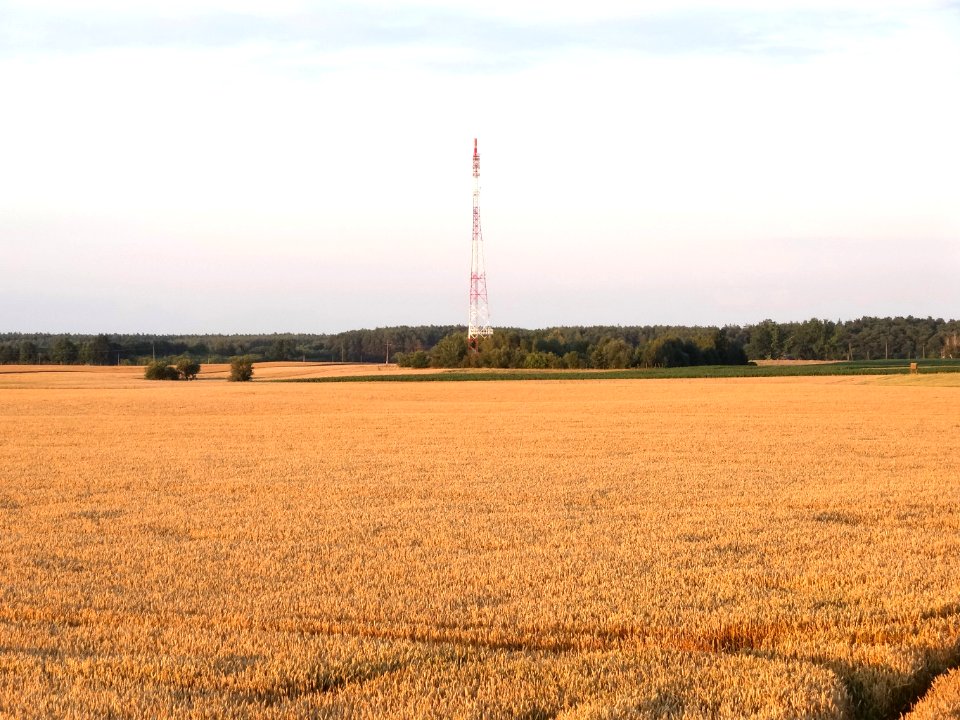 Wysoczyzna Osielska k Czarnowczyna 12 07-2014