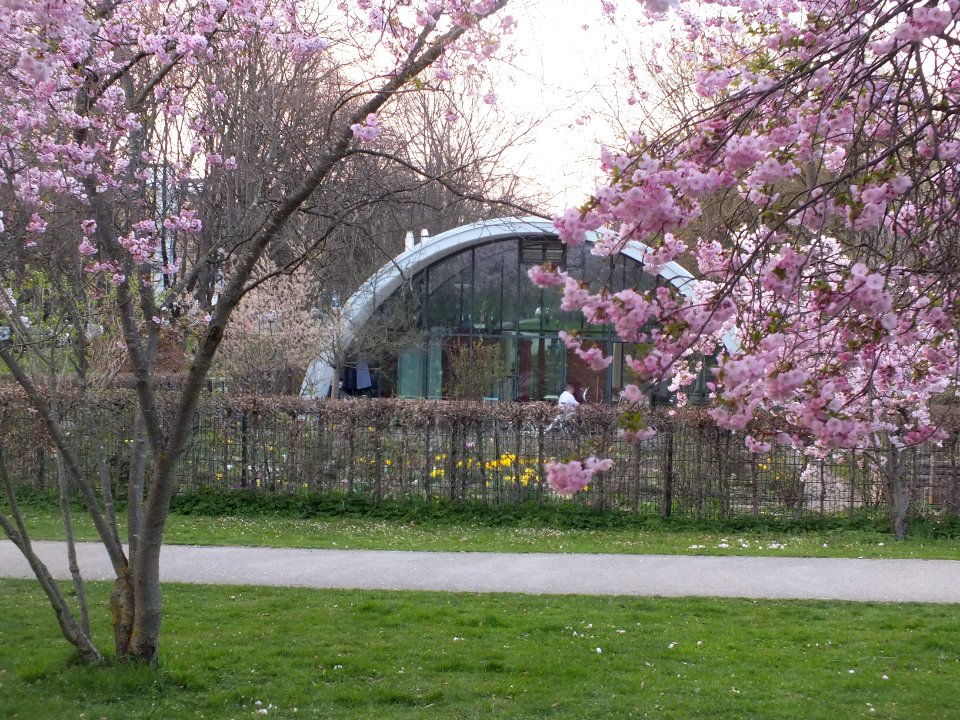 Wzwz milbertshofen 13b
