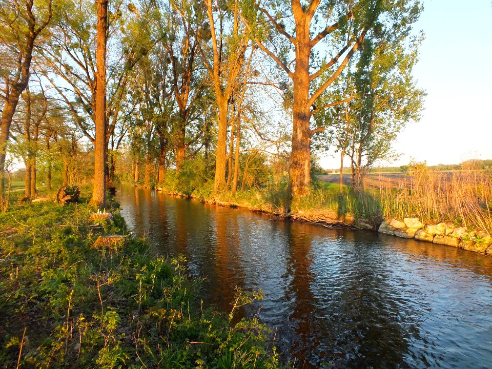Wzwz LaWoK Würmkanal 6