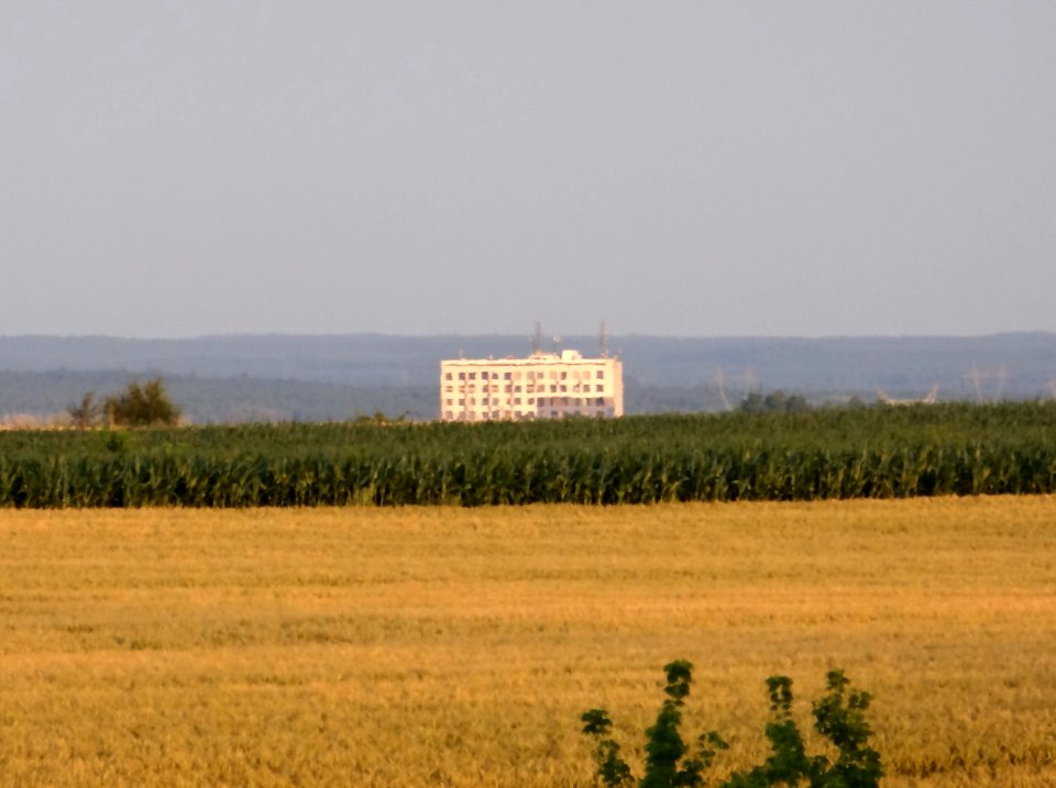 Wysoczyzna Osielska k Czarnowczyna 11 07-2014