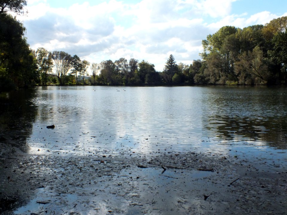 Wzwz LaWoK Eichinger Weiher 3