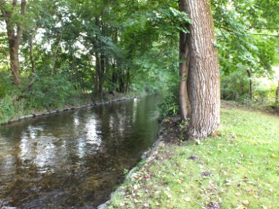 Wzwz LaWoK Würmkanal 2