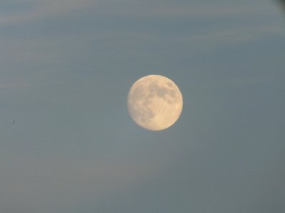 Wzwz moon