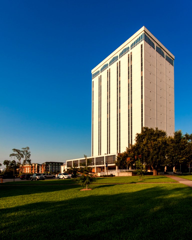 Wyly Tower of Learning