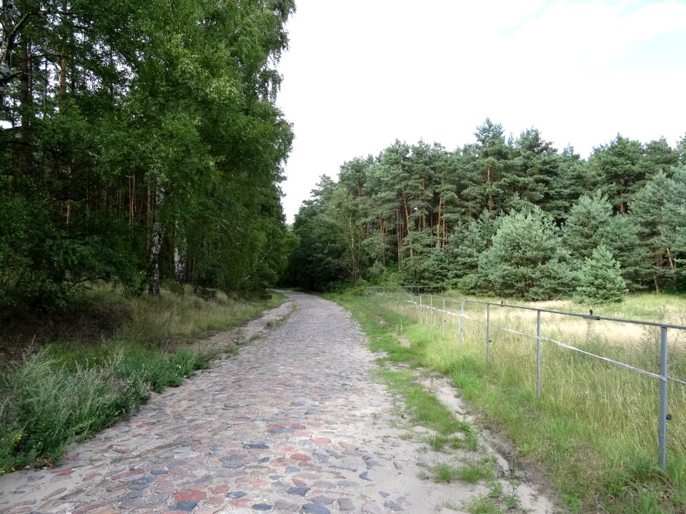 Wypaleniska droga 2 7-2015
