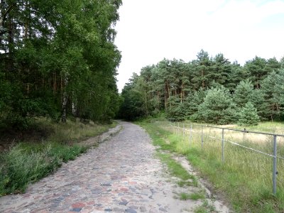Wypaleniska droga 2 7-2015