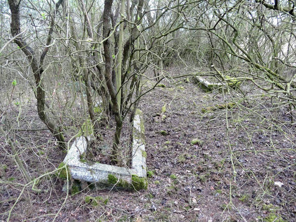 Wypaleniska cm 2 4-2015