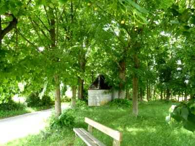 Xhoris-tilleuls de la chapelle Fanson (3)