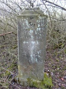 Wypaleniska cm 4 4-2015