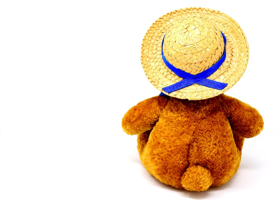 Hat straw hat teddy bear