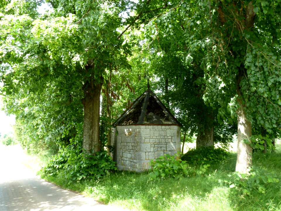 Xhoris-tilleuls de la chapelle Fanson (4)