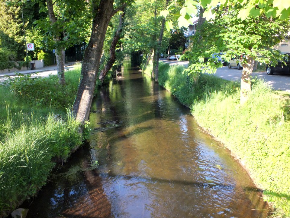 Wzwz dachau holzgartenkanal e