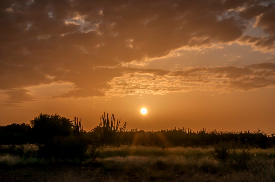 Xerofila Sunset in Venezuela