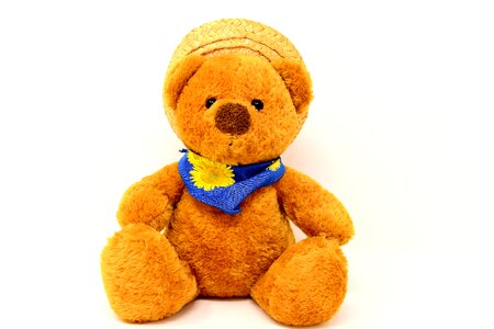 Straw hat teddy bear cute photo