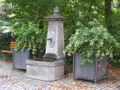 Wzwz dachau muehlbach d