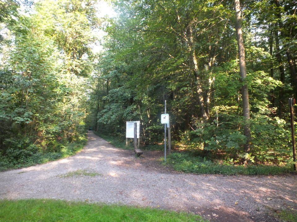 Wzwz dachau schinderkreppe a