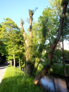 Wzwz dachau holzgartenkanal f