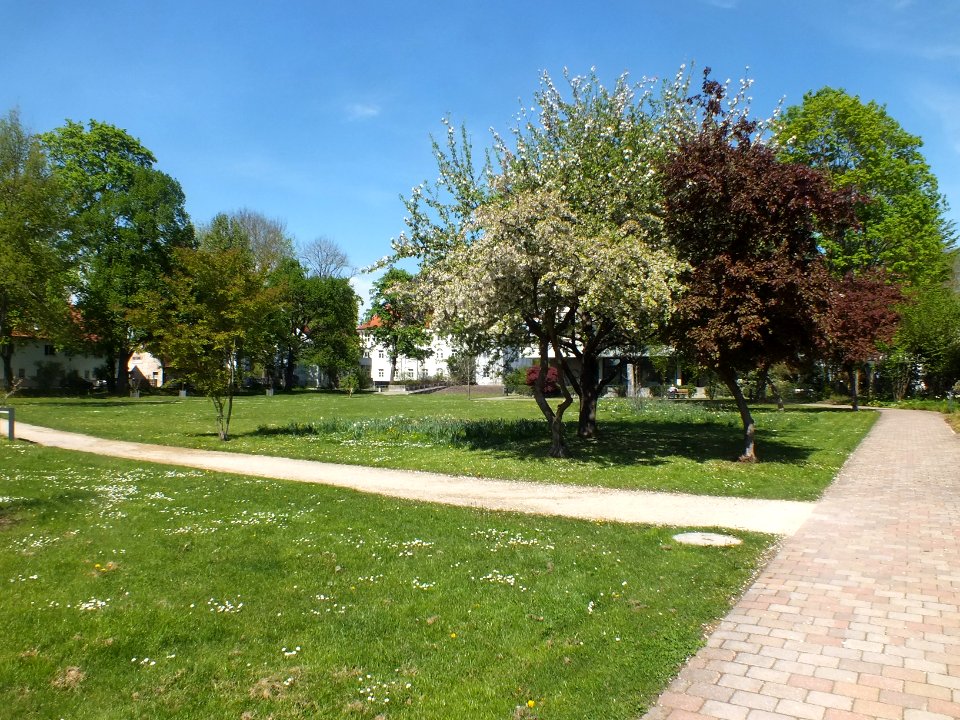 Wzwz dachau moorbad d