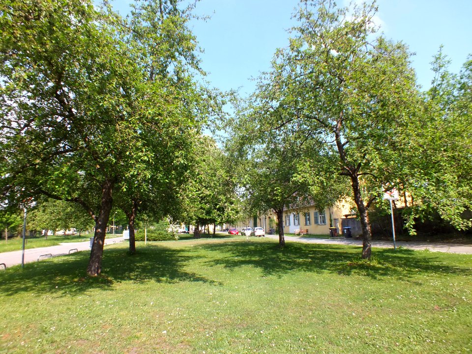 Wzwz dah krgarten 07