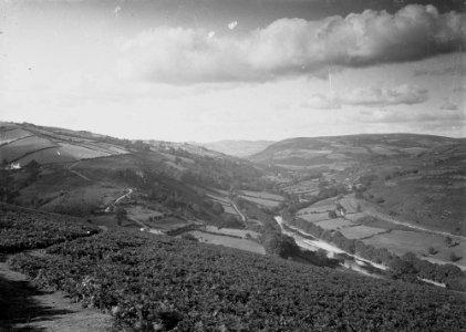 Wye valley (1294689)