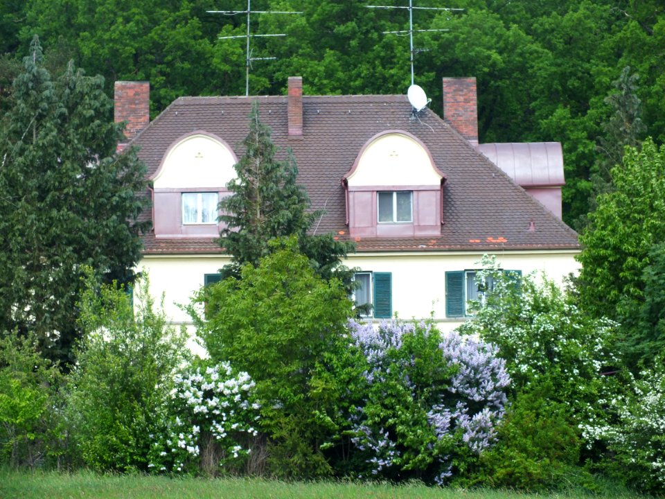 Wzwz dachau x50i hebertshausener
