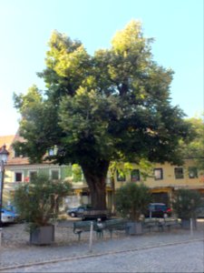 Wzwz dachau x08b widerstandsplatz