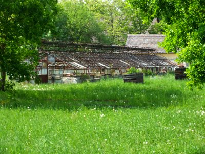 Wzwz dah krgarten 02 m