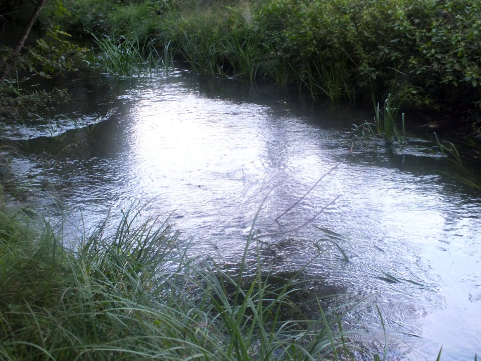 Wzwz Kalterbach 06