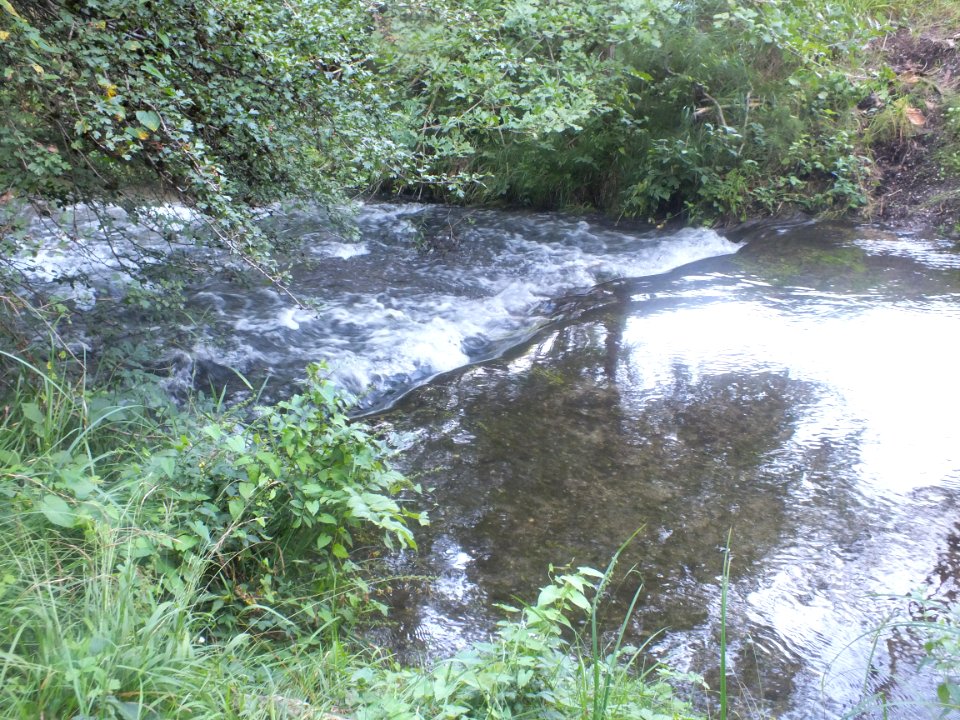 Wzwz Kalterbach 07b