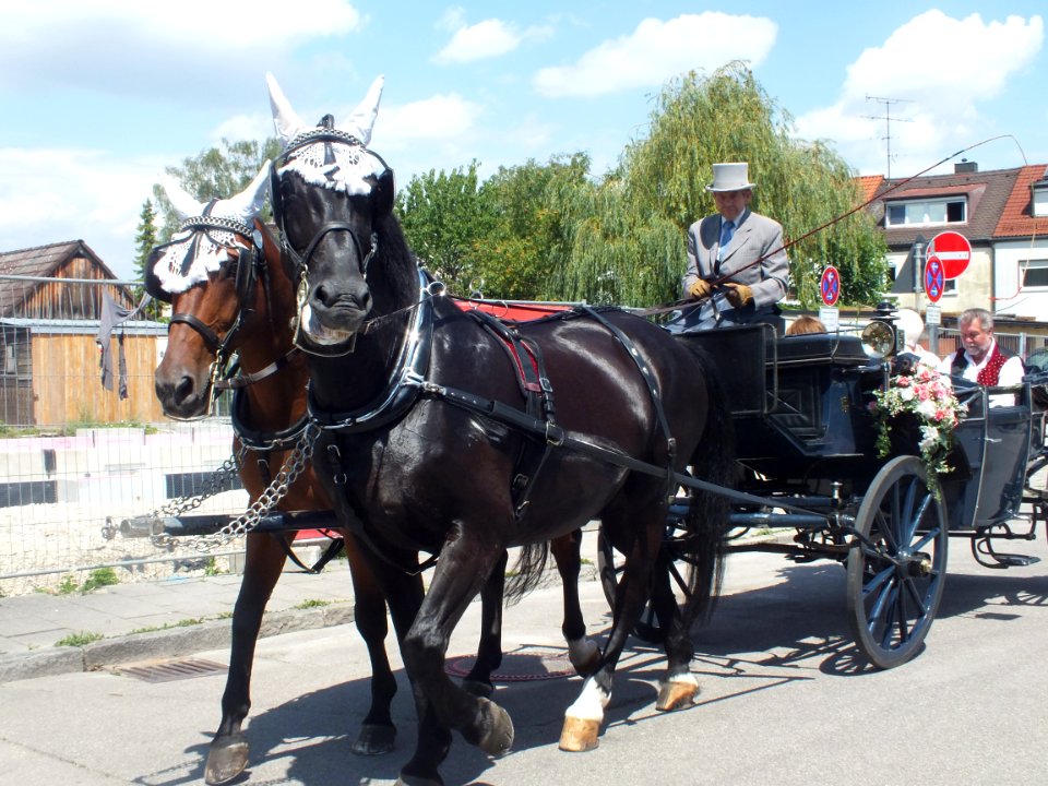 Wzwz karlsfeld festumzug 05 17