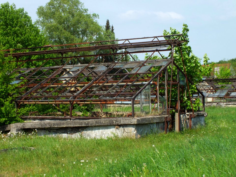 Wzwz dah krgarten 02 g