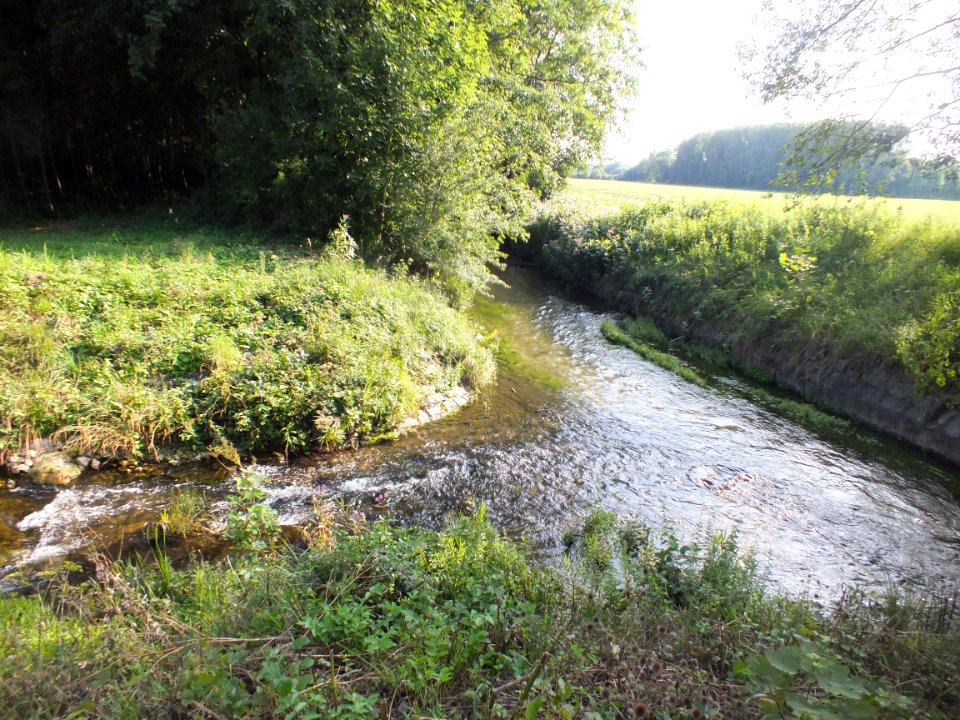 Wzwz Kalterbach 09b