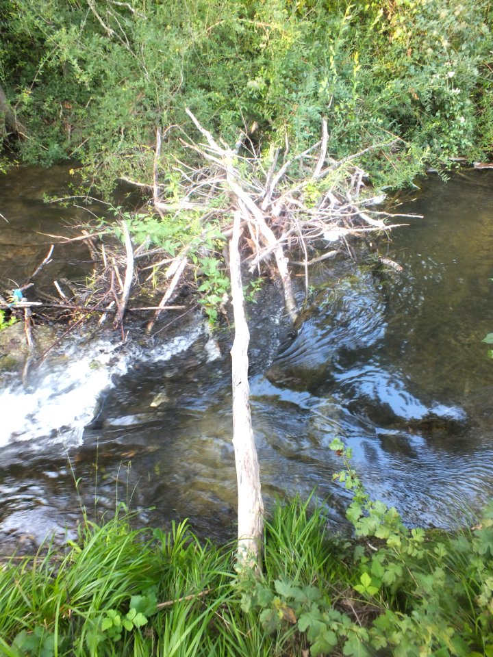 Wzwz Kalterbach 02a