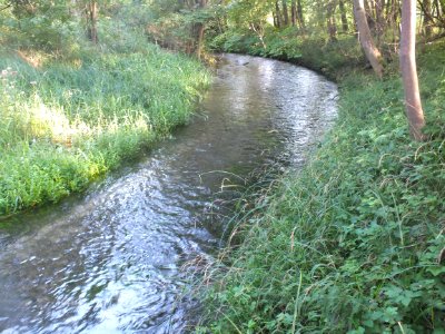 Wzwz Kalterbach 04