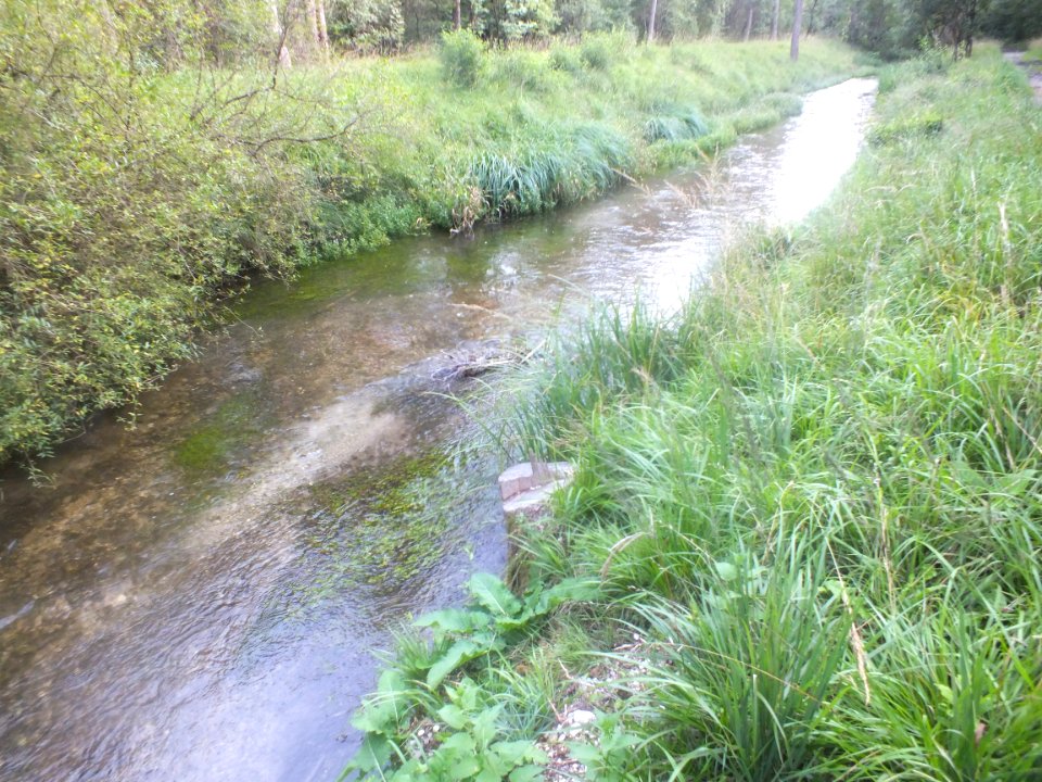 Wzwz Kalterbach 05