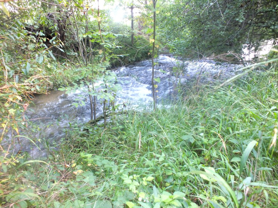Wzwz Kalterbach 07a